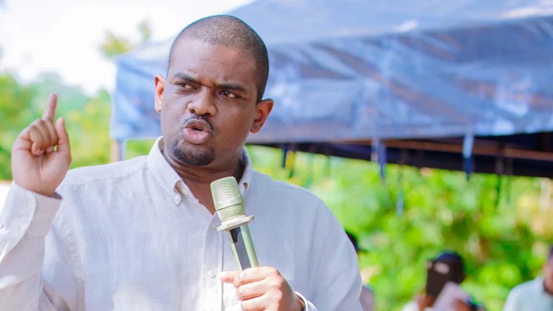 NDEJEMBI AMALIZA MGOGORO WA ARDHI ULIODUMU MIAKA 30