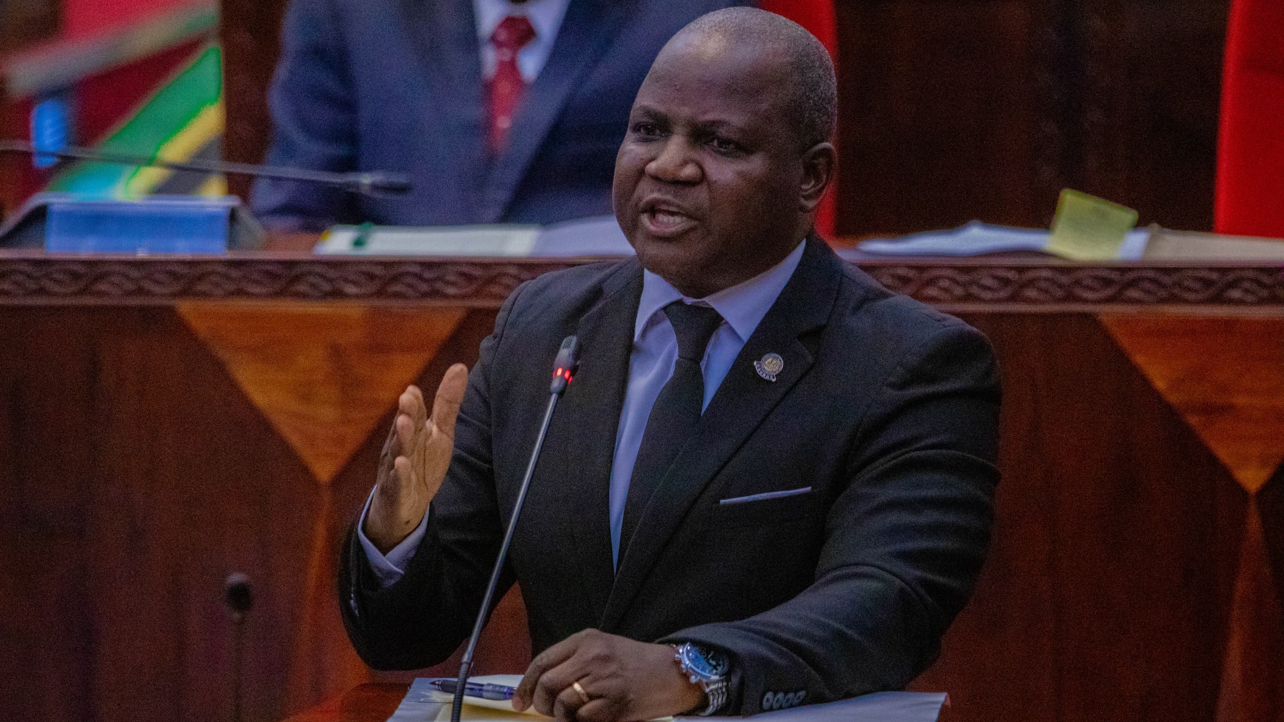 SERIKALI YASISITIZA ULINZI NA USIMAMIZI WA MAENEO YA WAZI NCHINI